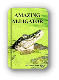 Book cover featuring an alligator titled 'Amazing Alligator'.