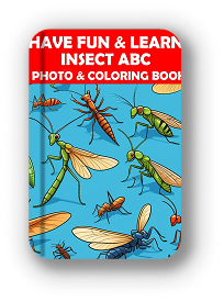 Coloring book cover with various insects illustration.