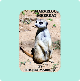 A meerkat stands alert on sandy ground with a turquoise background.