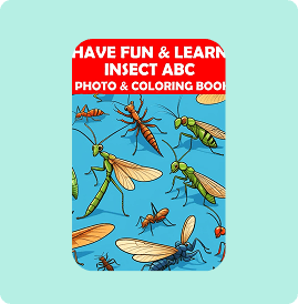 Cover of an insect ABC photo and coloring book with vibrant illustrations.