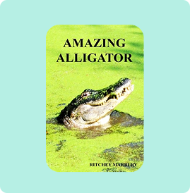 Alligator resting in green water with title 'Amazing Alligator'.