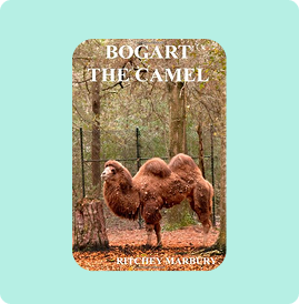 Two camels standing in a forest under the title 'Bogart the Camel'.
