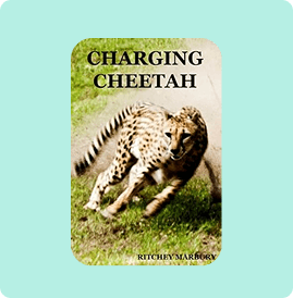 Cheetah sprinting at full speed with 'Charging Cheetah' text.