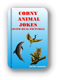 Book cover with animals for corny jokes.